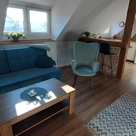 Urocze Studio Z Klimatem W Centrum Legnicy Lehnice Exteriér fotografie