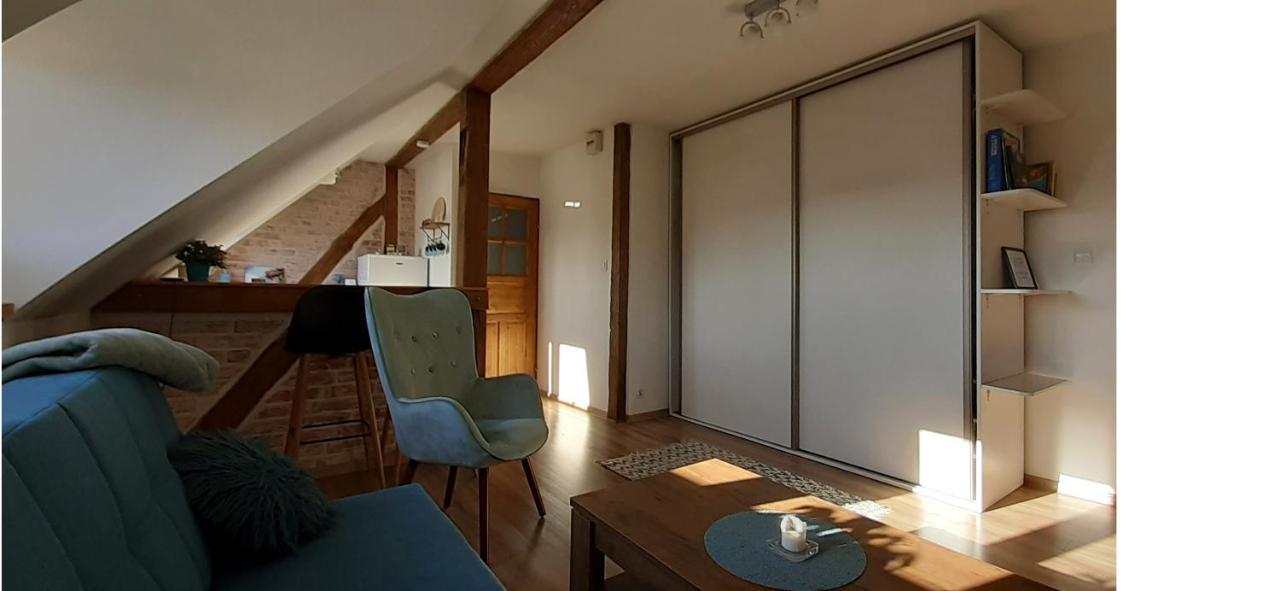 Urocze Studio Z Klimatem W Centrum Legnicy Lehnice Exteriér fotografie