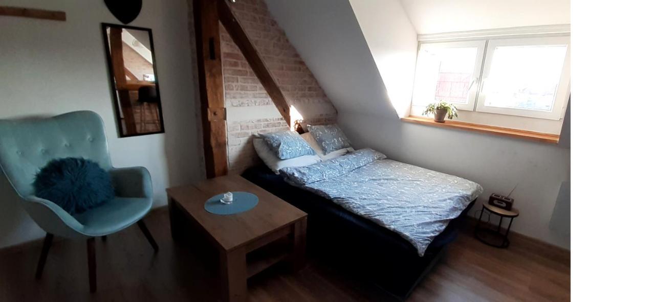 Urocze Studio Z Klimatem W Centrum Legnicy Lehnice Exteriér fotografie