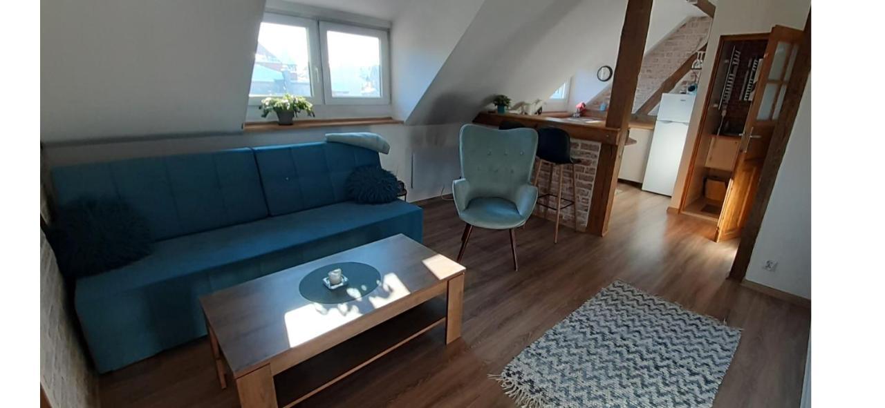 Urocze Studio Z Klimatem W Centrum Legnicy Lehnice Exteriér fotografie